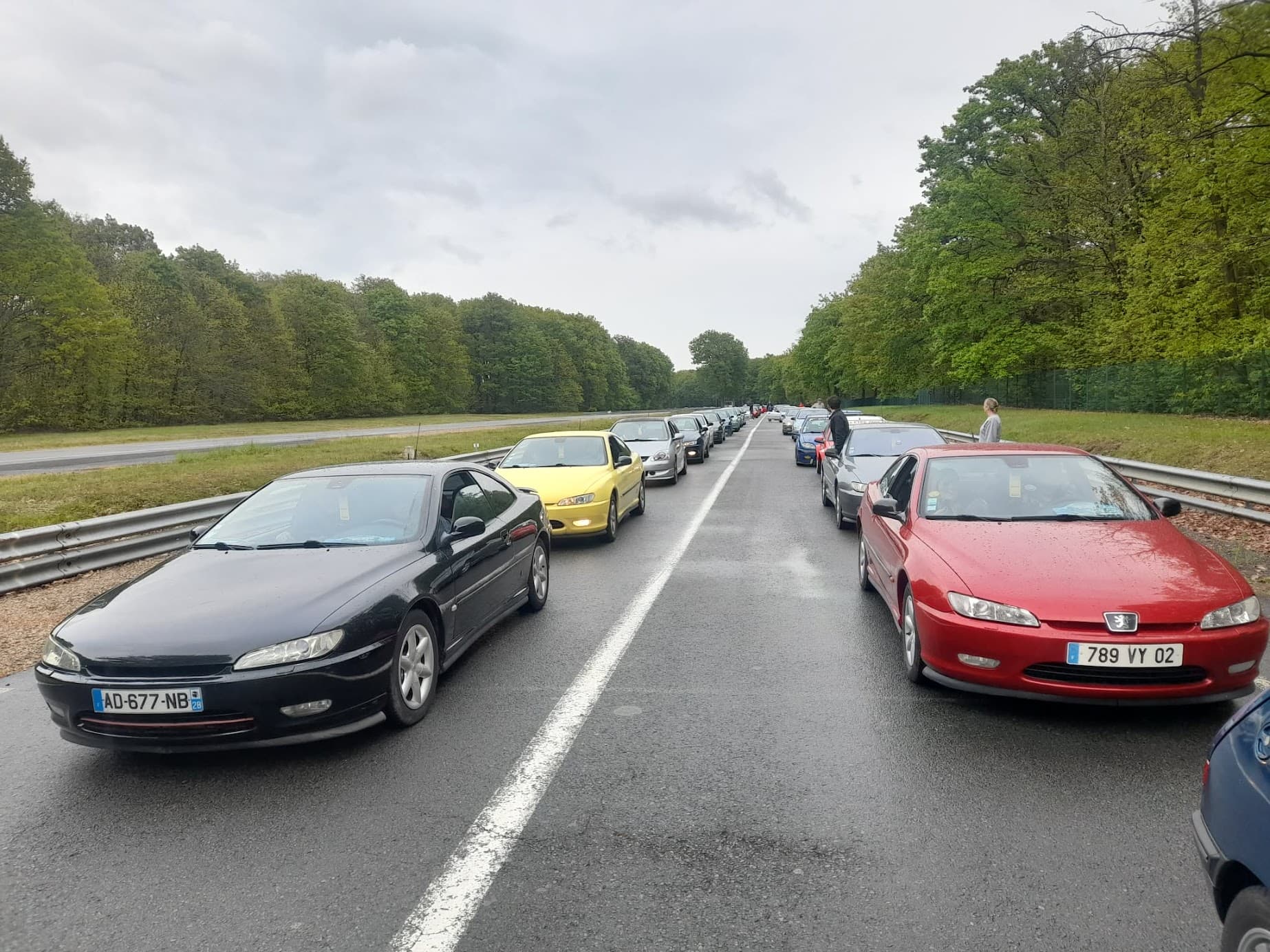 Convoi de 406 Coupé à l'arrêt sur une route bordée d'arbres