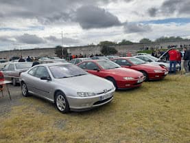 406 Coupé grise et rouges garées dans un pré sous un ciel nuageux
