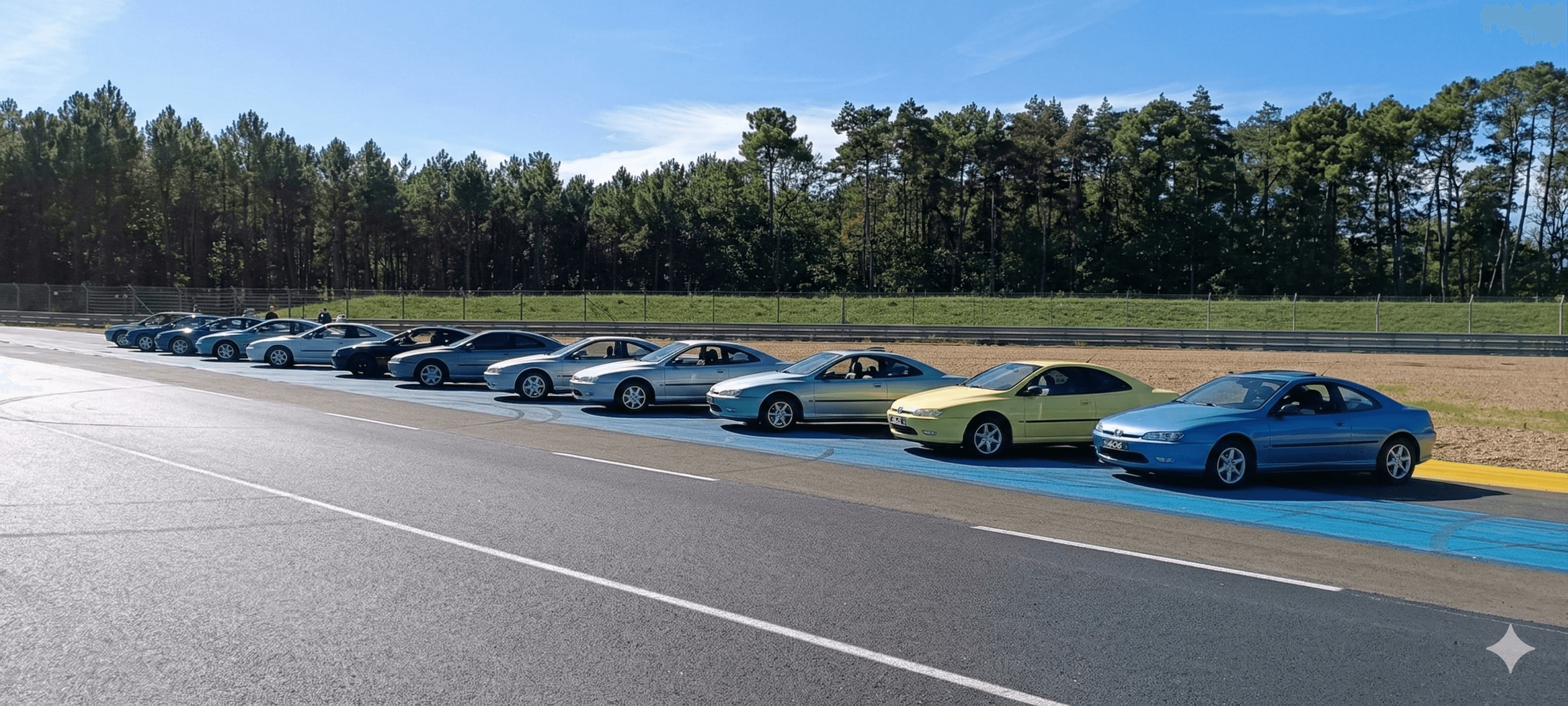 Lignée de Peugeot 406 Coupé de toutes les couleurs (Rouge, Bleu, Jaune, Gris, Vert)